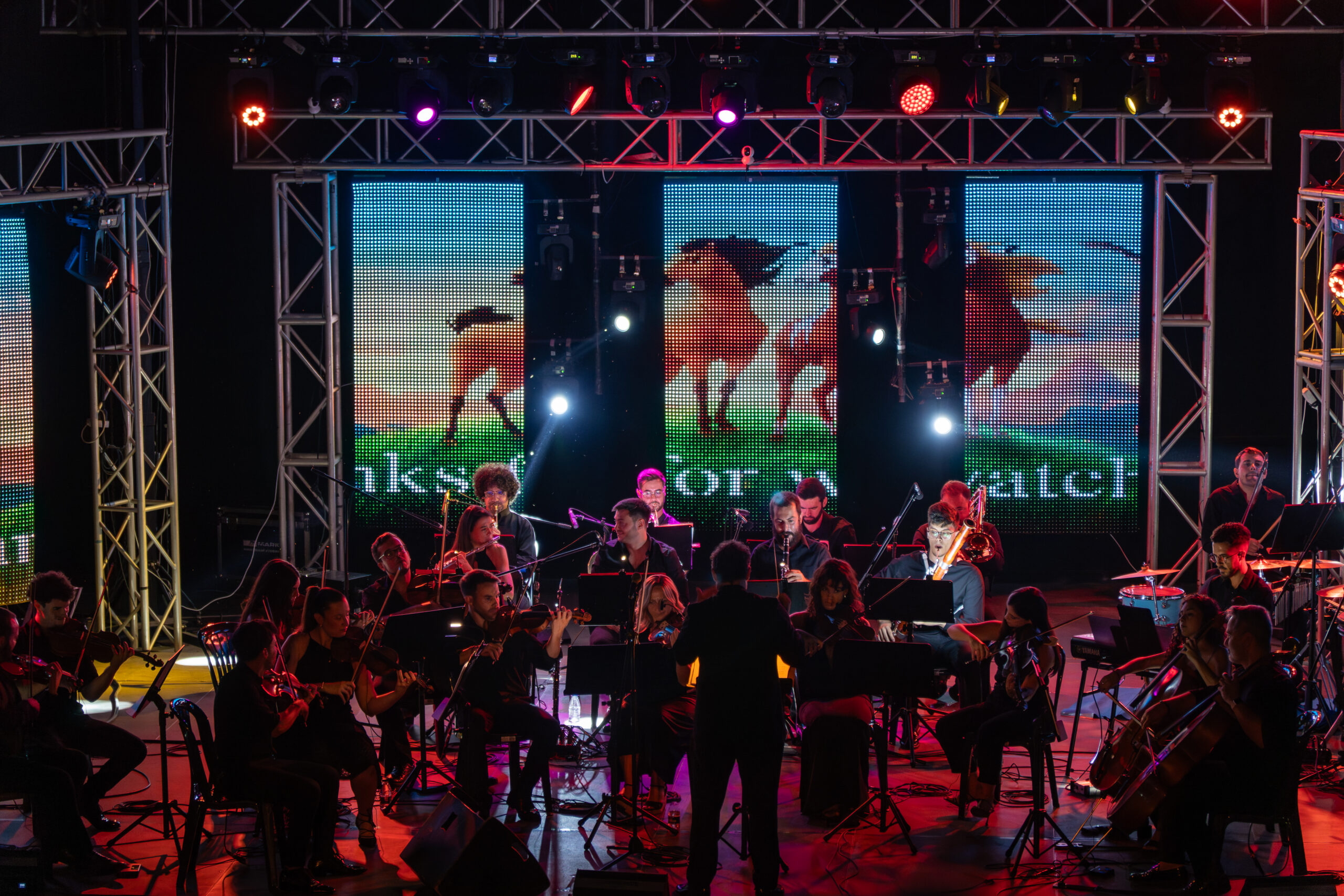 ÓPERA BENALMÁDENA dsc01660