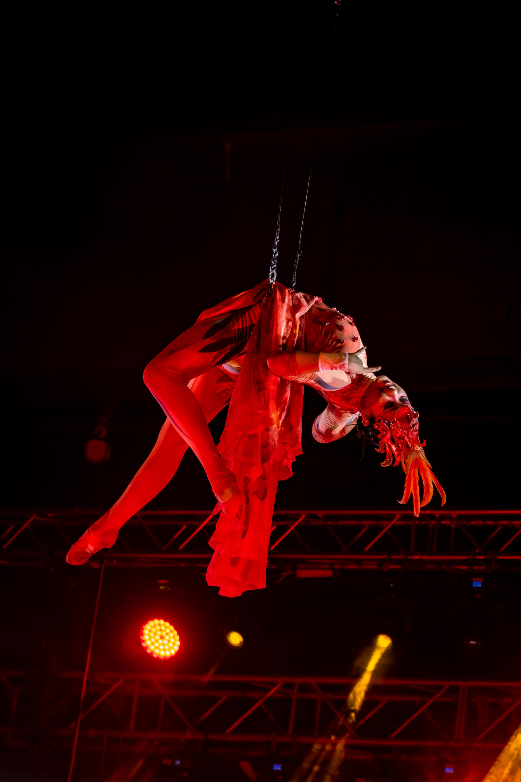 RESTAURACIÓN dsc03420