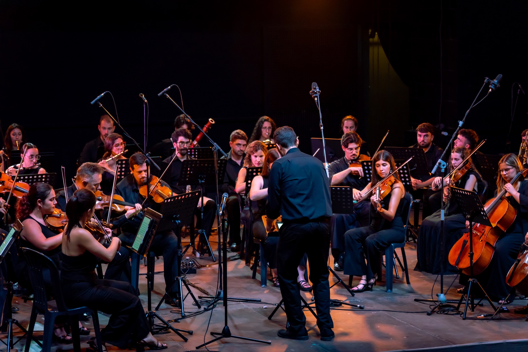 Orquesta completa en concierto
